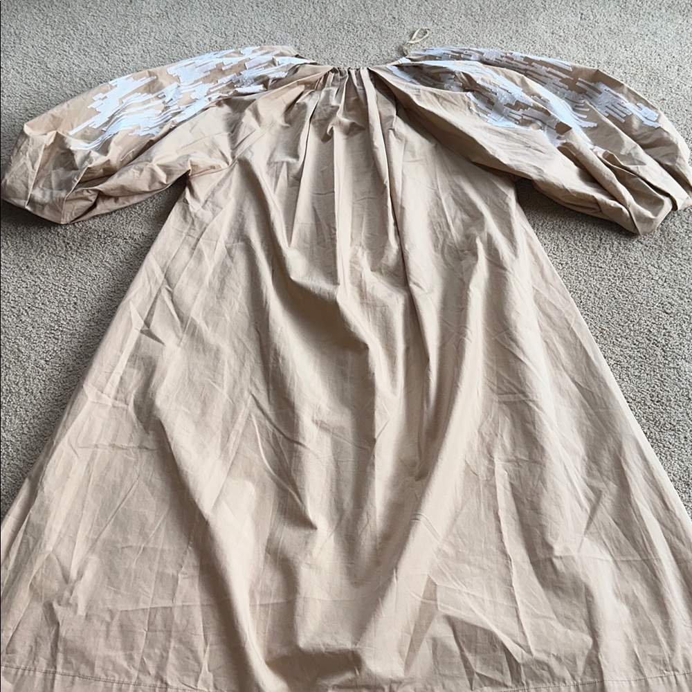 COS Embroidered Puff Sleeve Dress - Picture 10 of 13